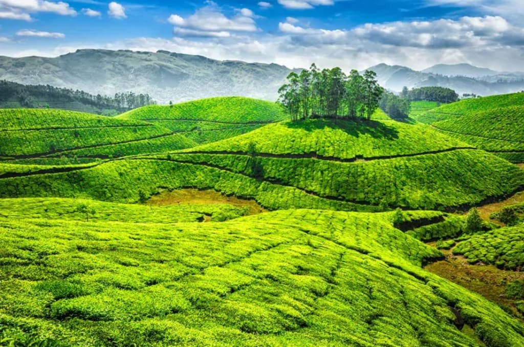 Nilgiris