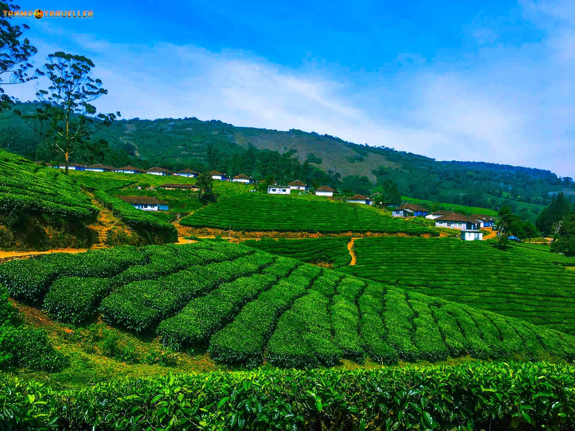Theni